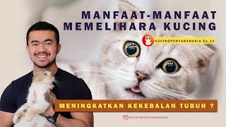 Ep 12 : Manfaat Memelihara Kucing Untuk Kesehatan. Dijamin Tidak Akan Kena 2 Penyakit Mematikan Ini!