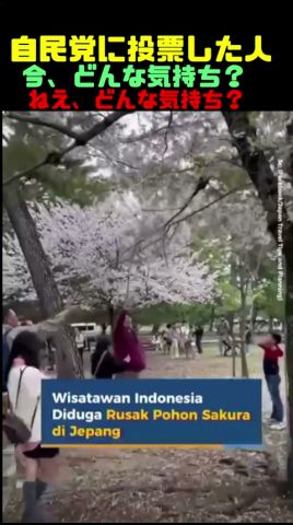 何で笑ってるの