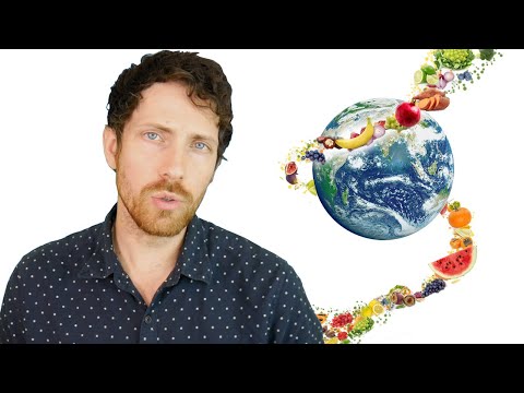 How the Planet Would Transform on a Vegan Diet