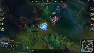300 IQ Bard Flash Juke