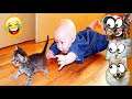 Я тебя СЪЕМ! ПРИКОЛЫ с ЖИВОТНЫМИ в ТИКТОК! Не ЗАСМЕЙСЯ ЧЕЛЕНДЖ ХиХи Funny Animals Валеришка Макс