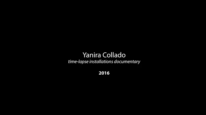 Yanira Collado  Time-Lapse Documentary,  Armory Ar...