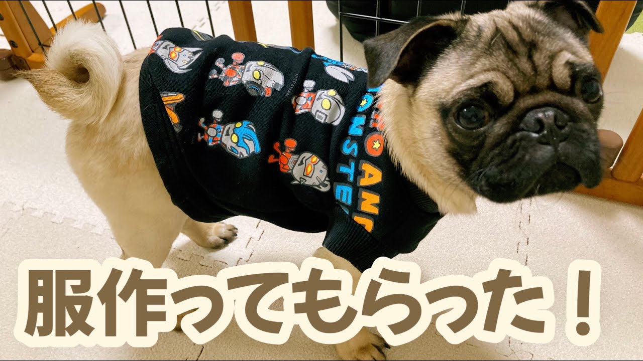 袖にクマさんのロンT フレブル服パグ服犬服ハンドメイド 【公式通販】