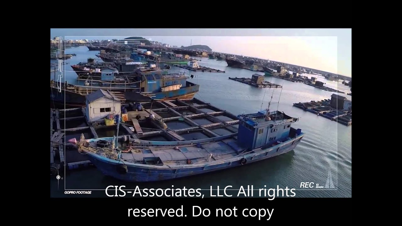 Large camera quad, CX20 cis associates