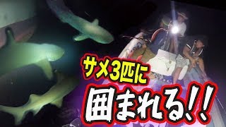 【緊急事態】サメとの激闘の末、極太の竿が折れる！【久高島漁入門遠征#2】