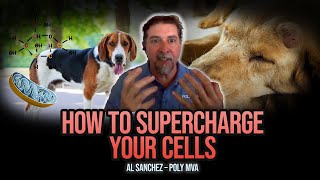 Al Sanchez: Mitochondrial Health - How Poly MVA Supports Humans & Pets | Gussy’s Gut