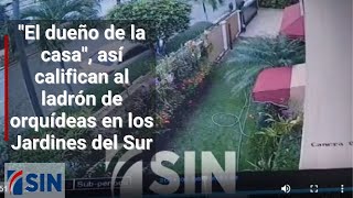 &quot;El dueño de la casa&quot;, así califican al ladrón de orquídeas en los Jardines del Sur