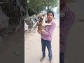 cute 😍 puppy 🐶🐶😍#dog#short....