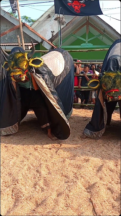 Bantengan keren asal malang #bantengan #shortsviral #jaranan #viralvideos #funny #fyp