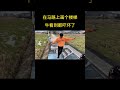 路上的楼梯,牛会有什么反应