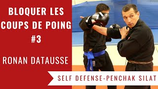 COMMENT BLOQUER LES COUPS DE POING (SELF DEFENSE - PENCHAK SILAT) - Vol. 3