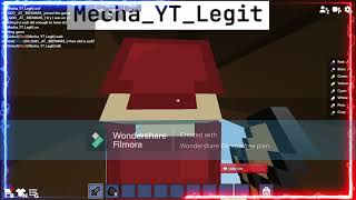 I Meet 1 Of The Biggest Bloxd Youtuber @Mecha_YT