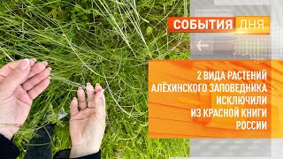 2 вида растений Алёхинского заповедника исключили из Красной книги России