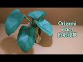 Origami Elephant Ear Plants/ Big Green Leaves 折纸绿萝