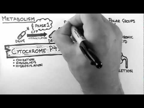 Video: Perbedaan Antara Biotransformasi Dan Metabolisme