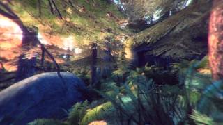 M16A4 & AK 47SD Animations by SlaYeR5530