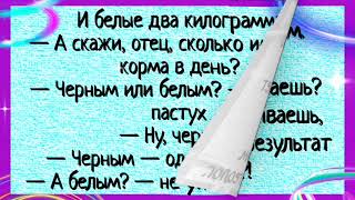 #Вовочка Вот ты написал... #анекдоты #юмор #фразы  #приколы