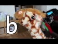 Geraldine the Giraffe learns /b/