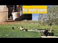 KEÇİ PEYNİRİ NASIL YAPILIR ?