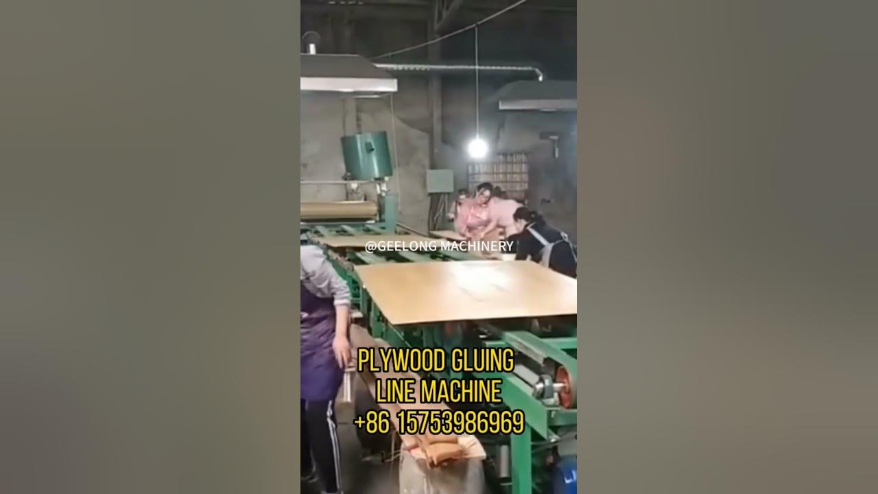 Plywood glue spreader machine, veneer gluing line machinery YouTube