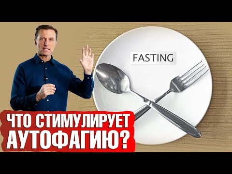 Аутофагию запускает не только голодание. А что же?👀