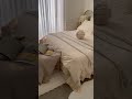 My Therapy 🤍 #bedroomdecor #homedesign #home #interiordesign #aesthetic #neutral #love