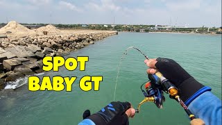 Cangkek alap-alap   Baby GT = 💯 Ultralight Fishing