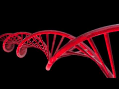 DNA - DEOXYRIBONUCLEIC