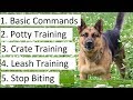 How to Train a German Shepherd Puppy - A Detailed Video on GS Training Tips