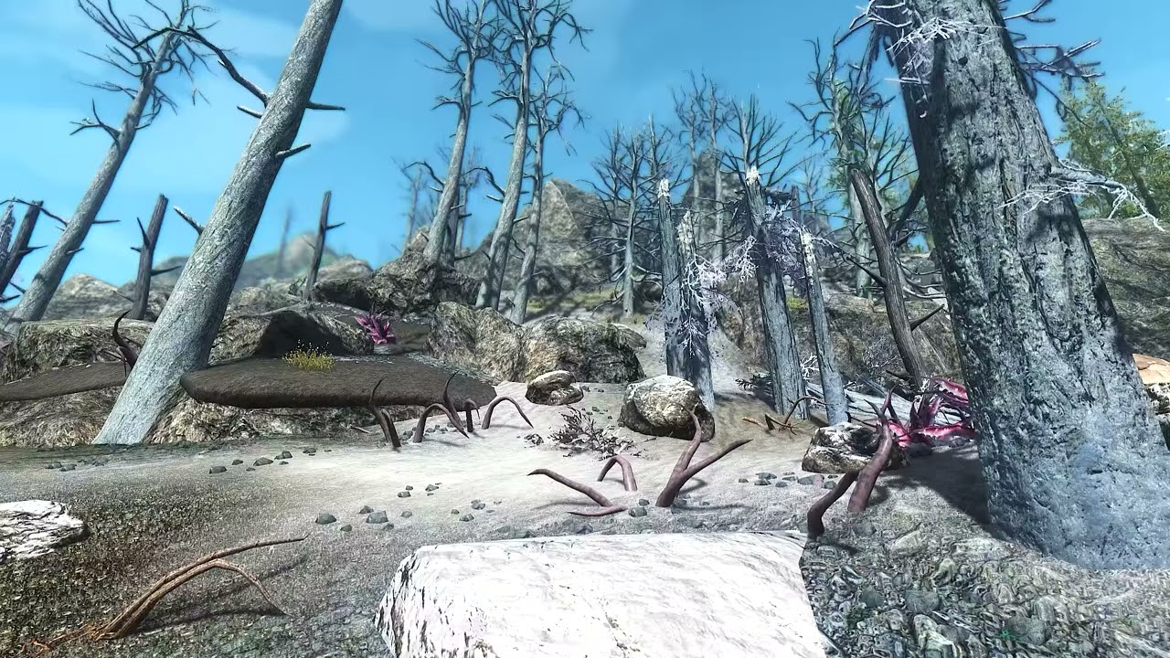 Must Have Mods： Realvision ENB | MxR Mods Archive