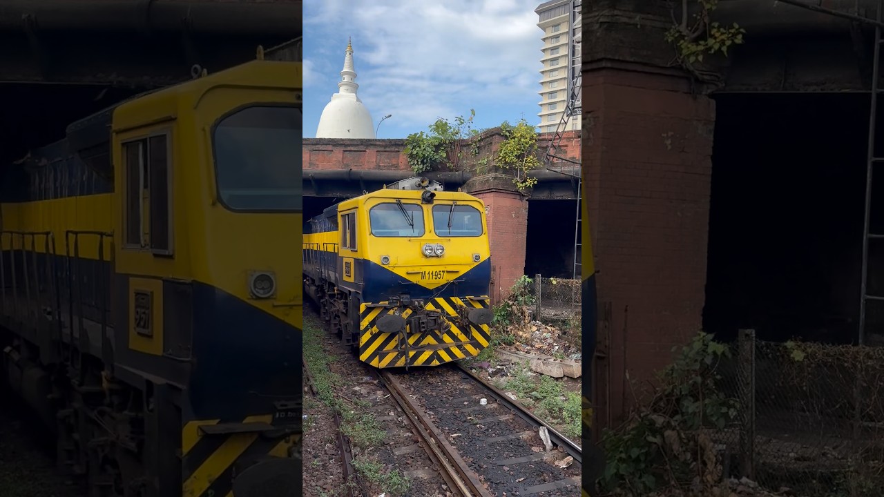 M11 Train Engine Class M11-957 Morning Diesel electrical locomotive 🚂 yellow train - YouTube