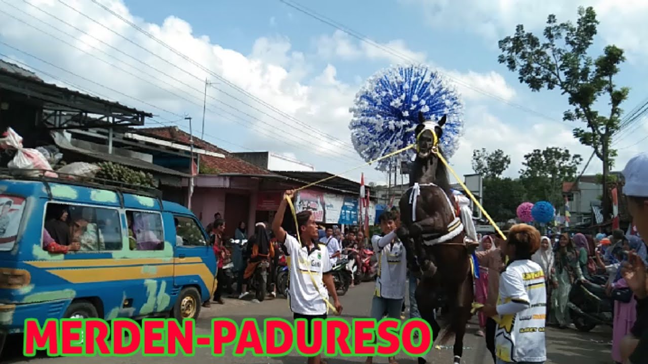TERBARU#ARAK-ARAKAN#MERDEN#PADURESO#5 OKTOBER 2025