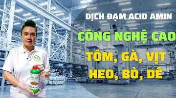 Quá Trình Làm Dịch Đạm Acid Amin Công Nghệ Cao Cho Tôm, Gà, Vịt, Heo,.... | Vy