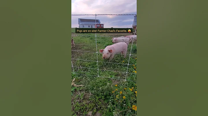 Red River Farms Spring Farm Tour (April 2021)