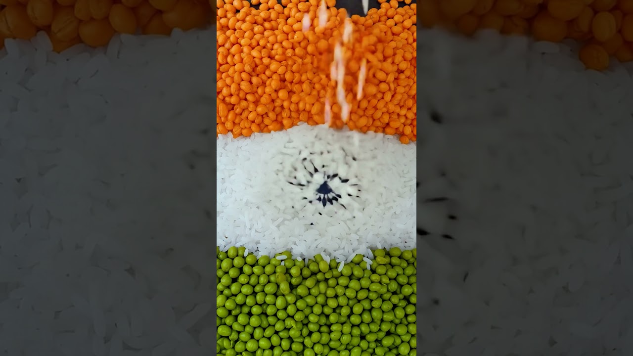 Happy Republic Day | Pancha Sattva | Pune