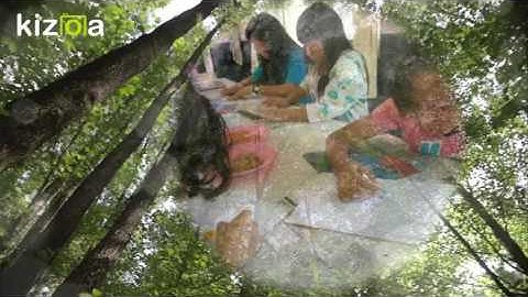 Kizoa Movie - Video - Slideshow Maker: sample video 70