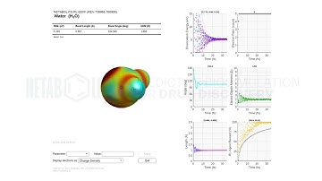 Water Molecule Simulation