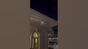 ايات من الذكر الحكيم سوره ابراهيم القارئ محسن الدوسري 2025
