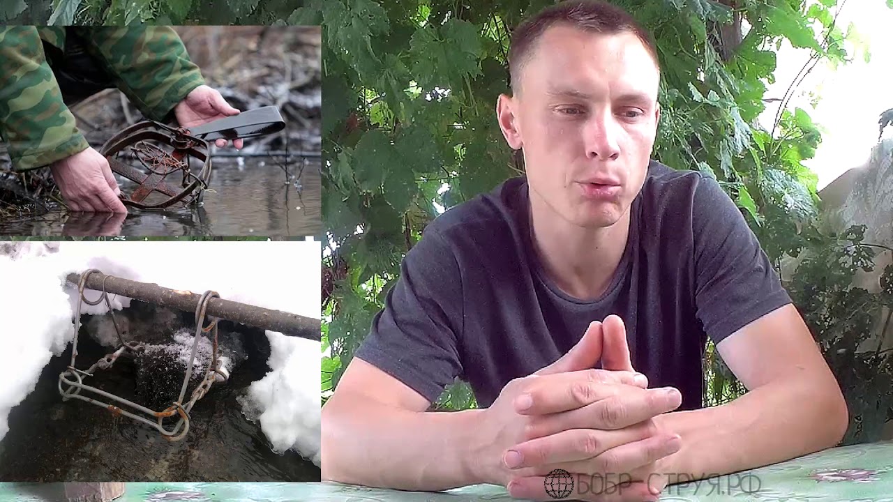 Всё о бобровой струе (all about the beaver jet)!