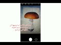 تطبيق can u eat me