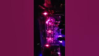 AyoShy First Live performance