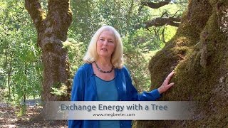 Energy Alchemy Exchange Energy with a Tree