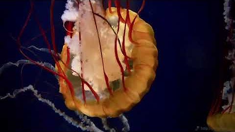 3 AI tools normal people are using to make money in 2025