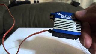 Blue Bird BLS-31A servo review