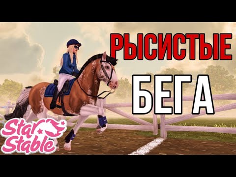 Видео: РЫСИСТЫЕ БЕГА В Star Stable Online