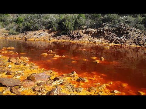 Video: Kako Ne Dopustiti Ljudima Da Vladaju Vama - 12 Zlatnih Pravila