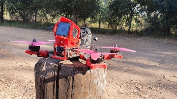 On the Run with F5 Lite and FalcoX