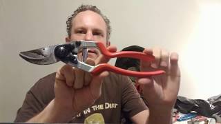 Felco Pruners 2: Where to buy Swiss Made bypass hand shears at the Best Amazon price clippers 28of30