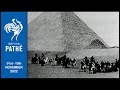 Tutankhamun Discovered, Remembrance Day and more