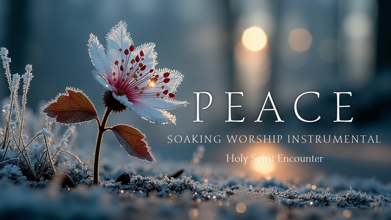 Глубокая поклонение музыка ~ Встреча Святого Духа и пророческое течение